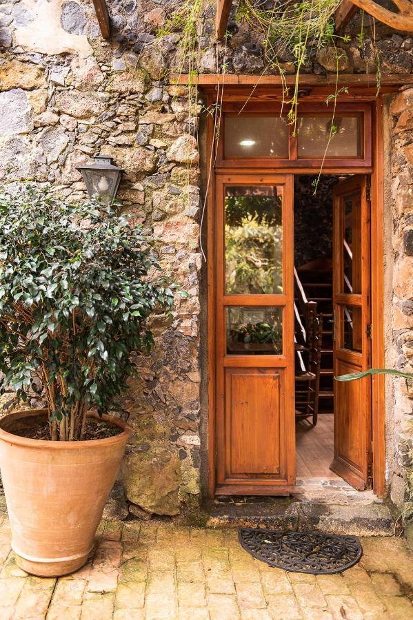 Homeforguest Cosy Rural Flat El Romero With Large Gardens Tacoronte Exterior photo