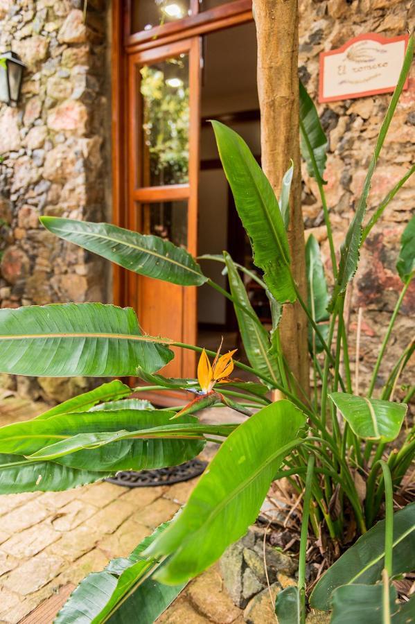 Homeforguest Cosy Rural Flat El Romero With Large Gardens Tacoronte Exterior photo