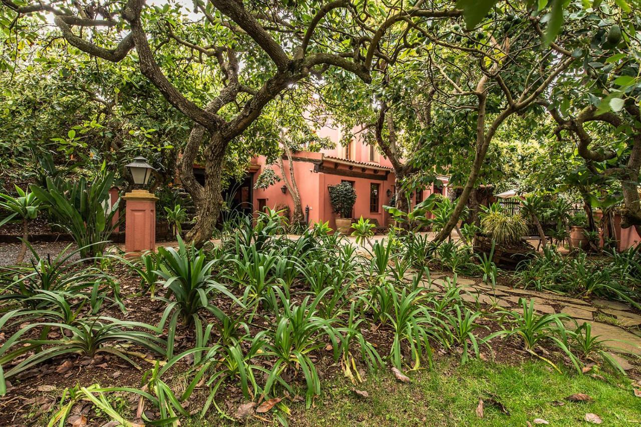 Homeforguest Cosy Rural Flat El Romero With Large Gardens Tacoronte Exterior photo
